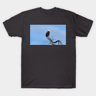 A Bald Eagle Perching In a Tree T-Shirt